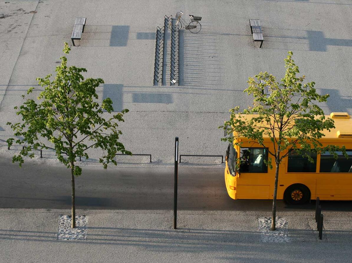 Bus holder på parkeringsplads ved siden af to tynde træer