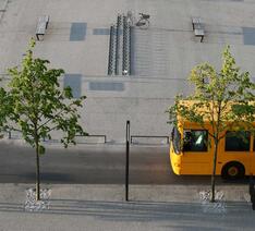 Bus holder på parkeringsplads ved siden af to tynde træer
